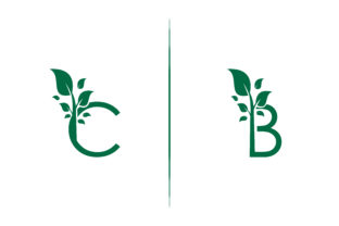 Letter B C Tree Logo: A Green Eco Design for Brand Identity
